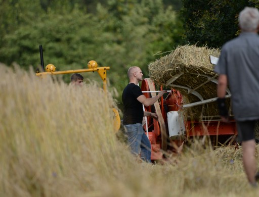 Hart veroverd, zacht verstrengeld: de charmes van Twente