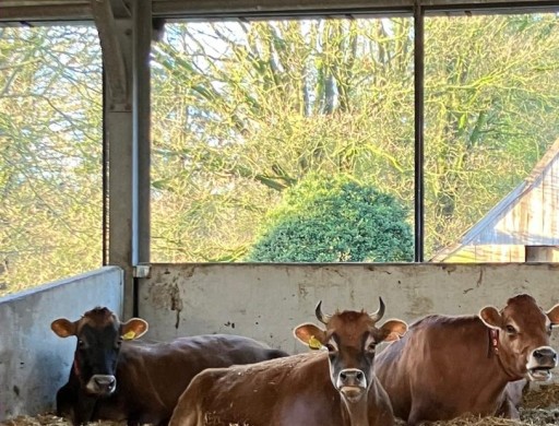 Een nieuw jaar: en nu?