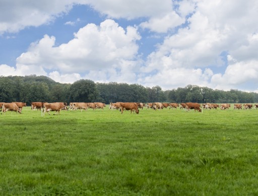 Het Beter Leven Keurmerk